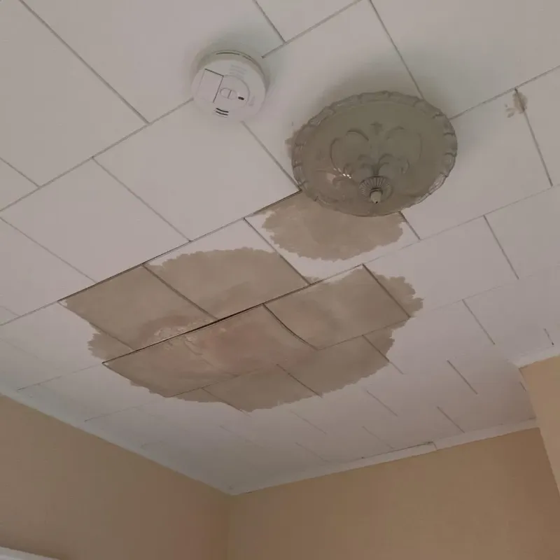 Ceiling Water Damage Repair in Leadwood, MO