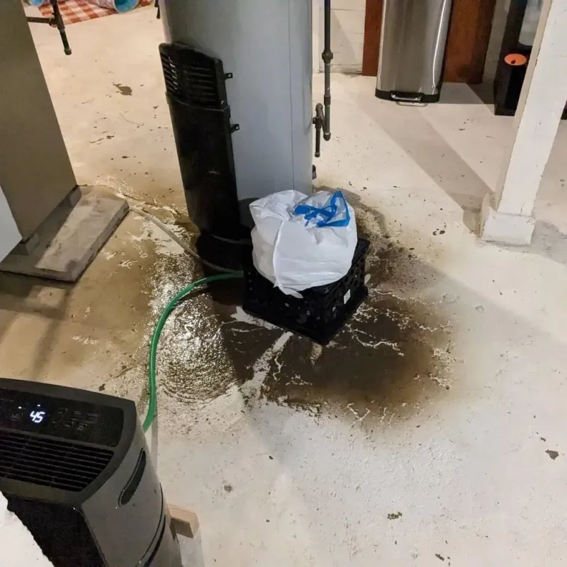 Sewage Backup Cleanup Service in Leadwood, MO